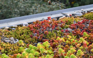 the cost of Llwyn Y Brain green roof installation