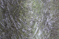 Llwyn Y Brain fibreglass roof work